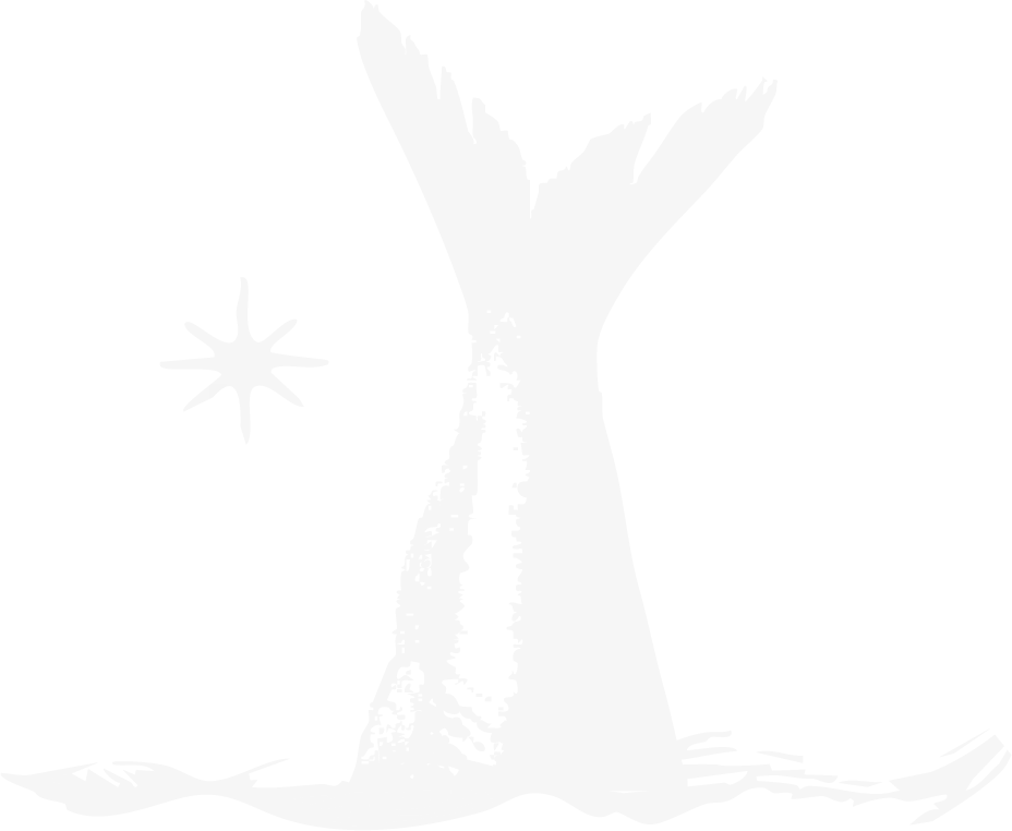 La Trattoria del Marinaio • Messina